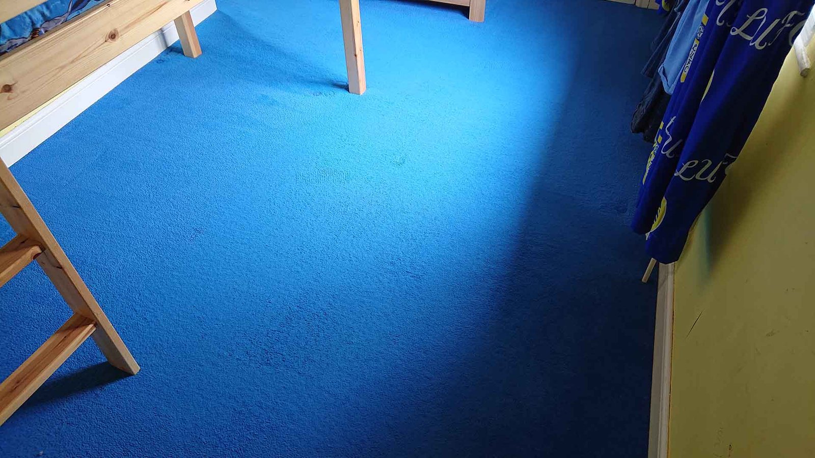 Before & After Carpet Cleaning: Real Results From Our Work 4 Matching after cleaning photo from New Life Carpet archive