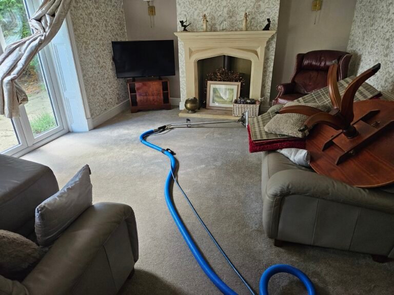 Blog 4 Blue carpet-cleaning hose laid across a furnished living-room carpet