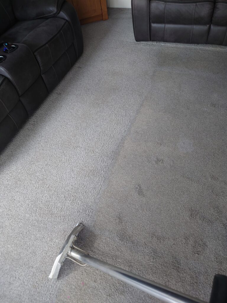 featured image 1771587005