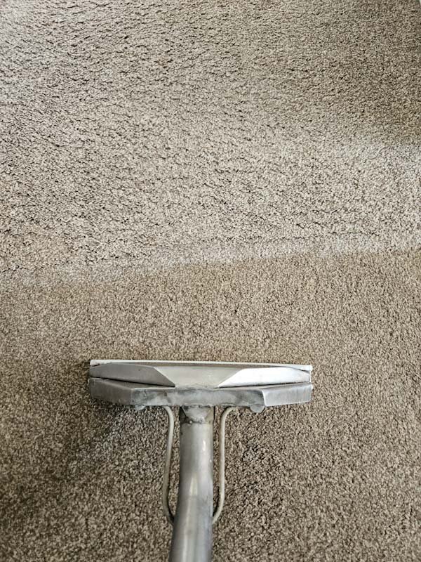 Professional carpet cleaning in Wakefield using hot water extraction