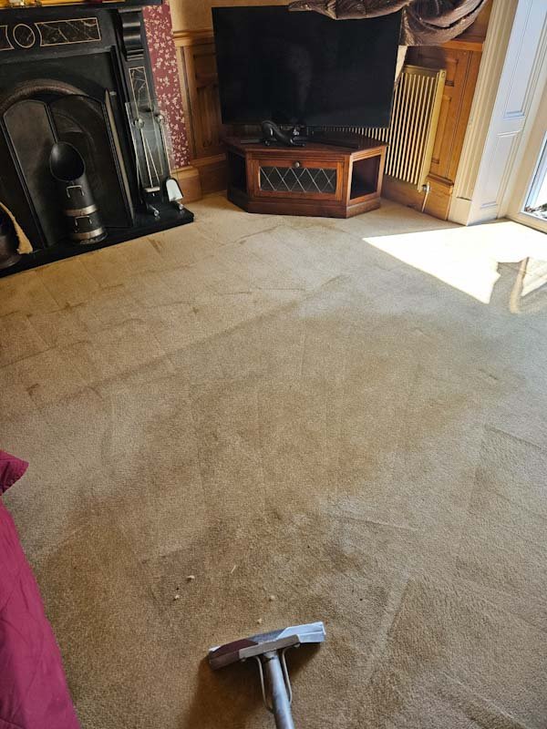 Carpet Cleaning Doncaster | 5-Star Rated Local Service 9 Living room carpet cleaning in Doncaster removing dirt and traffic marks