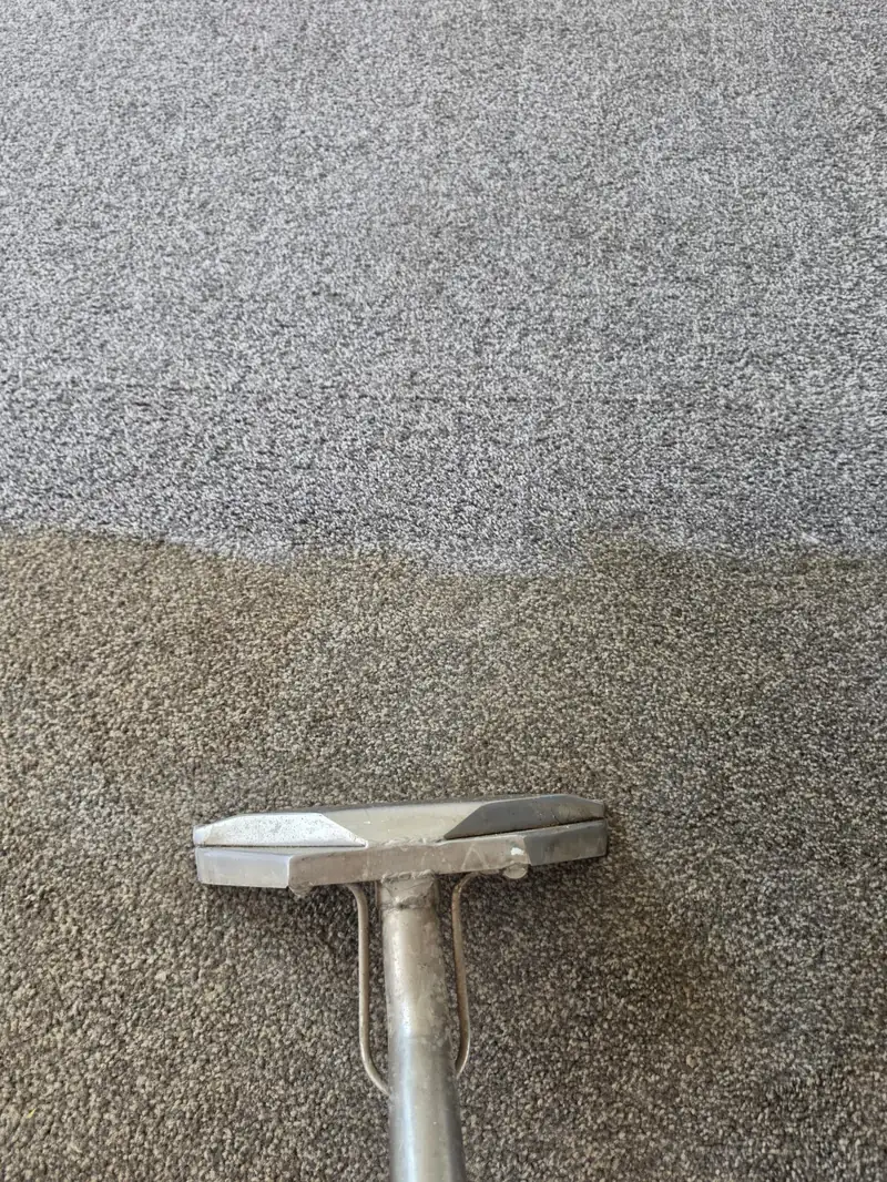Why Stair Carpets Get Dirty So Quickly – and How to Clean Them Properly 2 Professional carpet extraction wand cleaning carpet fibres