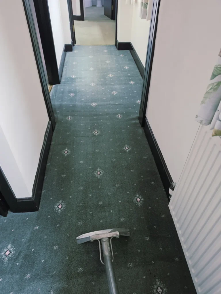 Carpet extraction wand on a green patterned hallway carpet beside a radiator