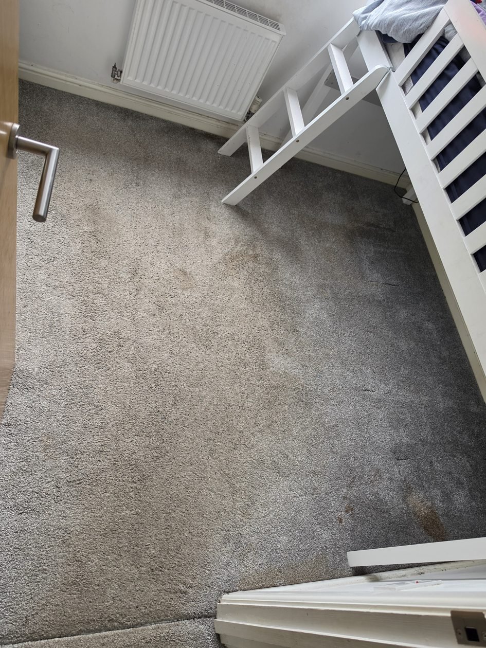 Grey bedroom carpet with visible marks before cleaning, beside a white raised bed