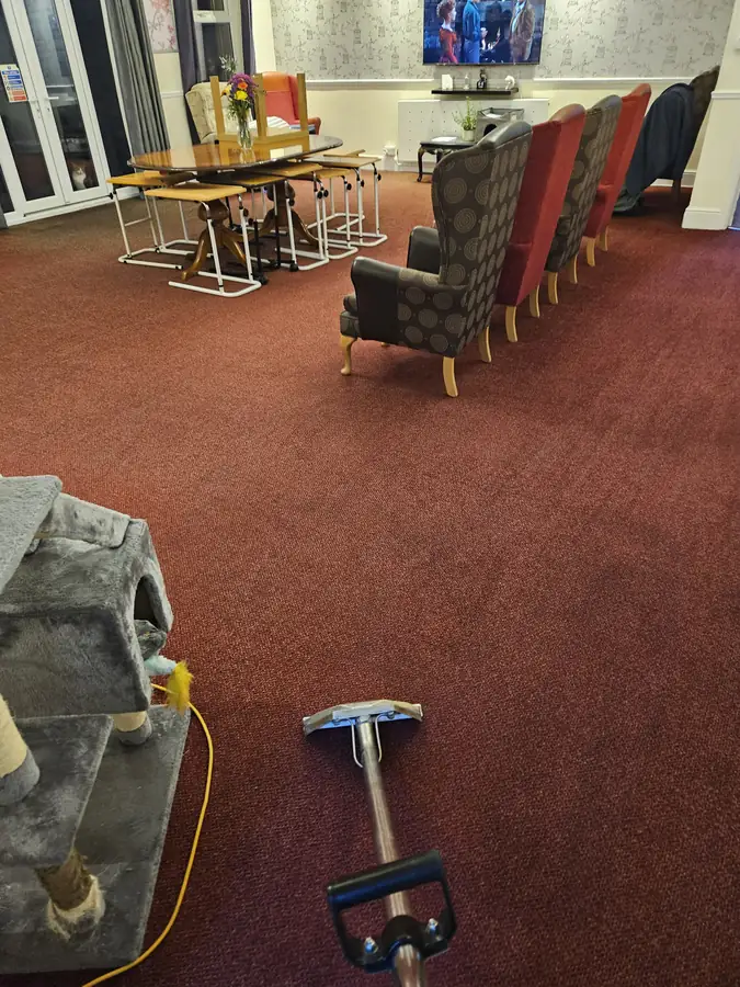 Extraction wand on red carpet beside upholstered chairs and tables