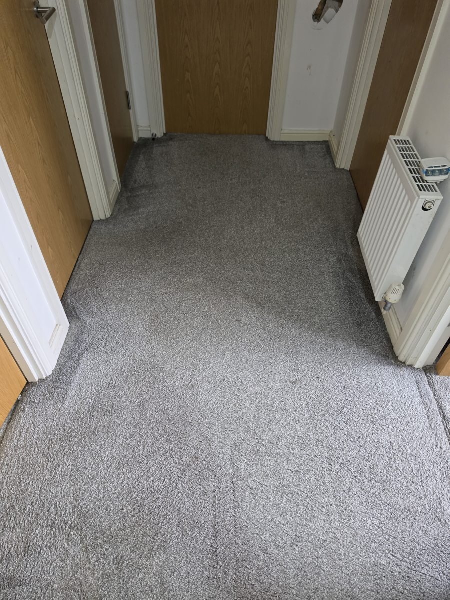 Grey landing carpet after cleaning by New Life Carpet