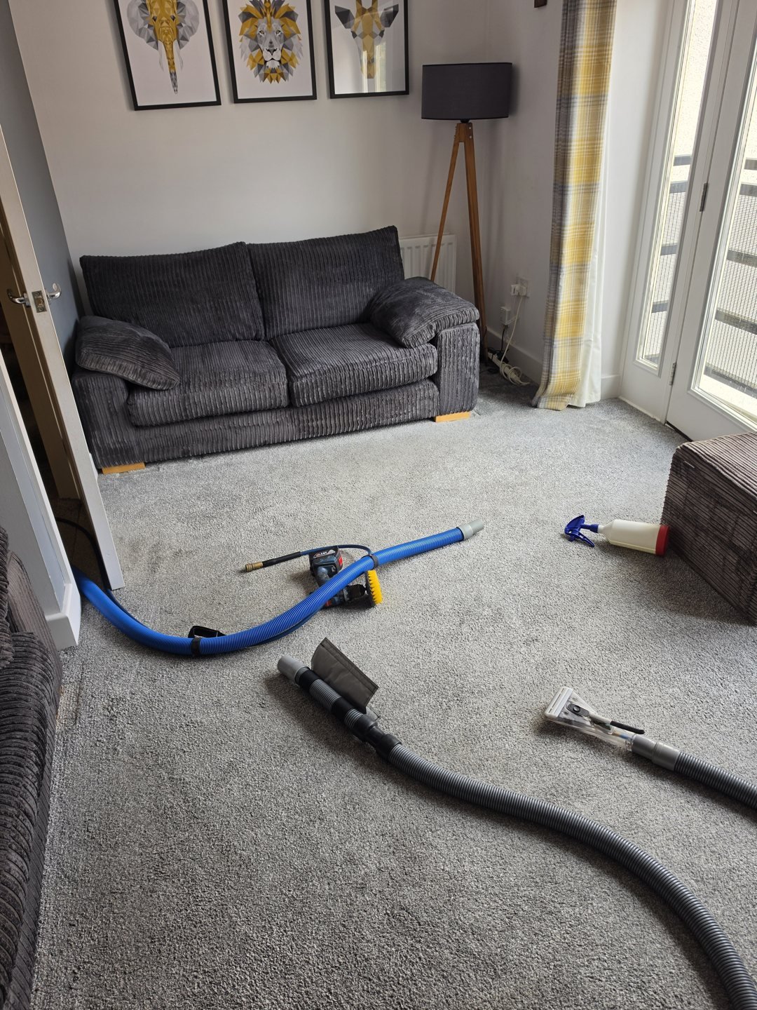 Sofa and carpet with professional upholstery cleaning equipment