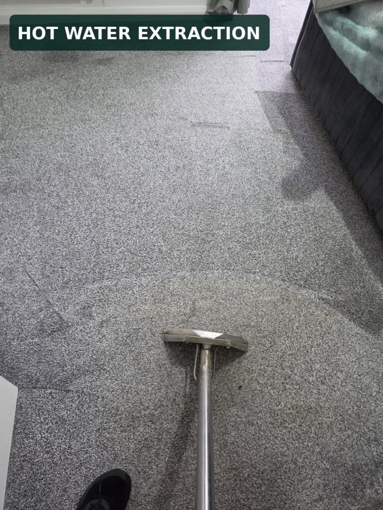 New Life Carpet hot water extraction wand cleaning grey carpet