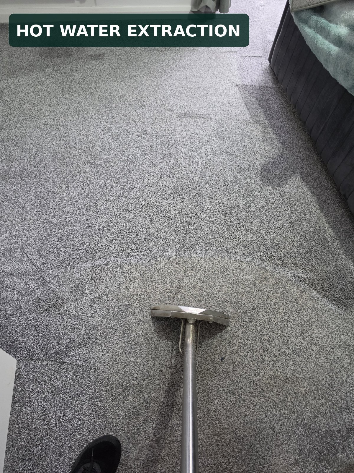 How Long Does a Carpet Take to Dry After Professional Cleaning? 1 new life carpet hot water extraction google post