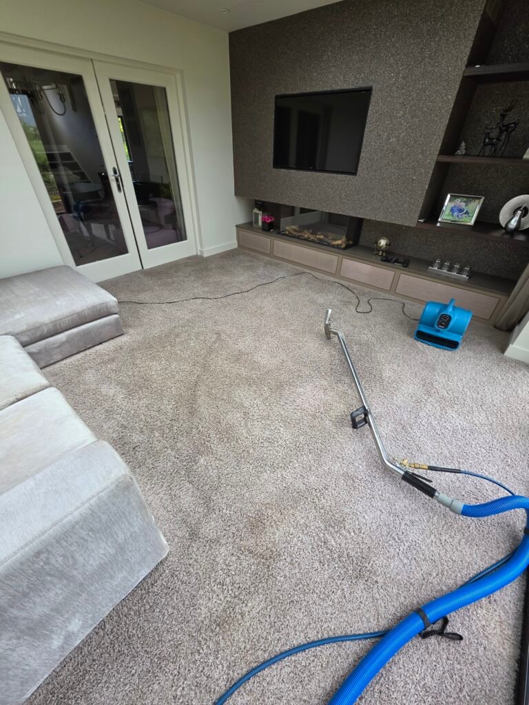 New Life Carpet cleaning equipment on the carpet in a modern living room