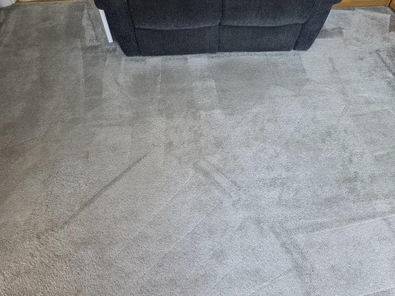Grey living room carpet in front of a dark sofa after cleaning by New Life Carpet