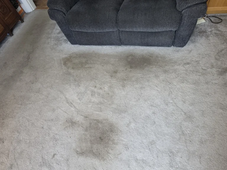 Grey living room carpet in front of a dark sofa before cleaning by New Life Carpet