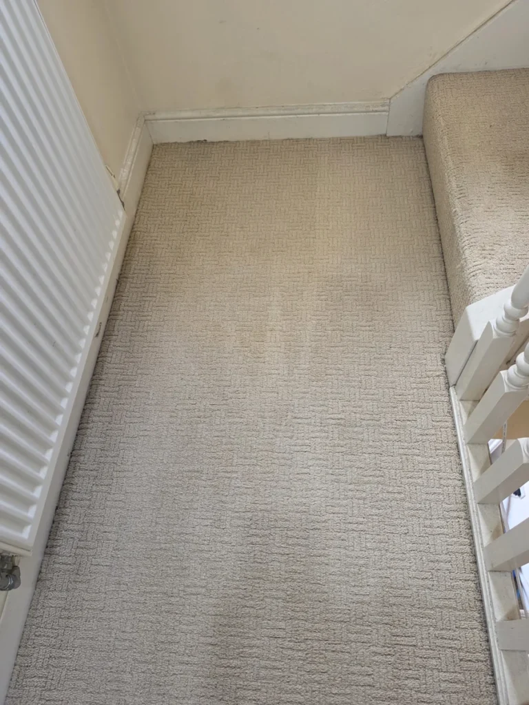 Light landing carpet beside a radiator and the bottom stair after cleaning by New Life Carpet