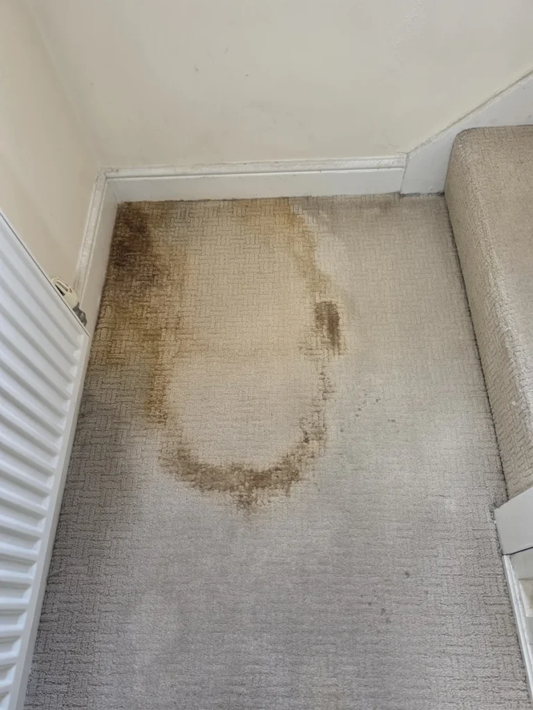 Light landing carpet beside a radiator and the bottom stair before cleaning by New Life Carpet