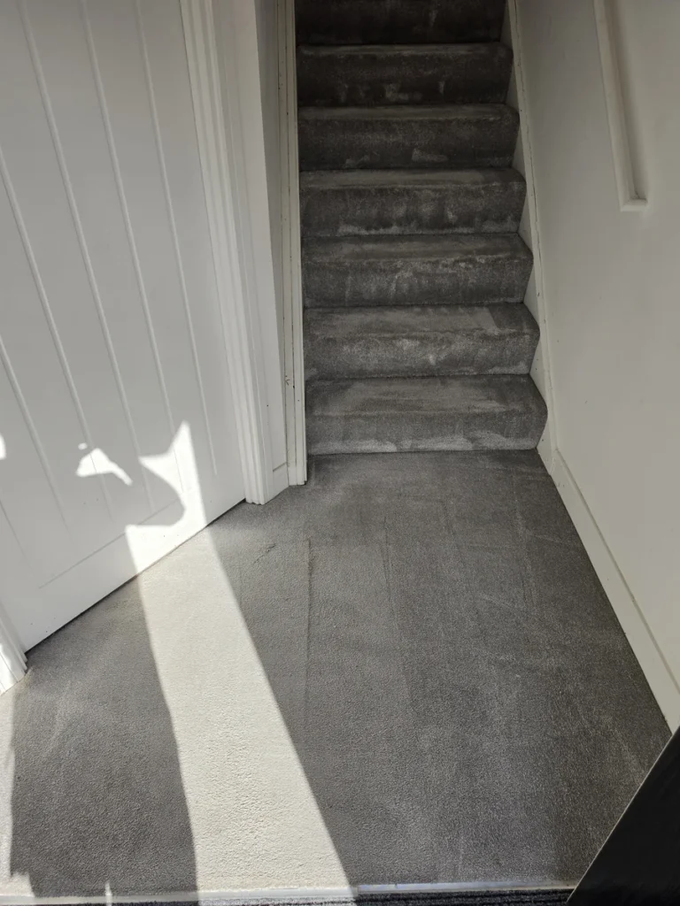 Grey carpet on the stairs and adjoining hallway after cleaning by New Life Carpet