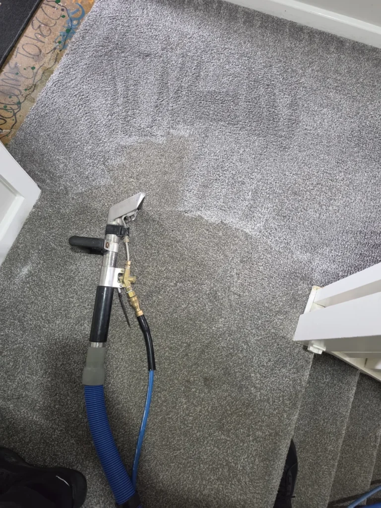 Close view of a carpet cleaning wand and extraction passes on grey carpet