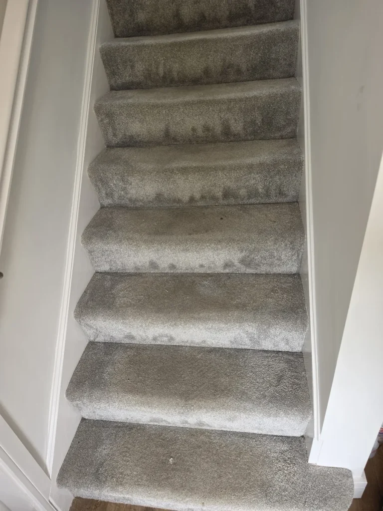 Grey carpeted staircase photographed during New Life Carpet work