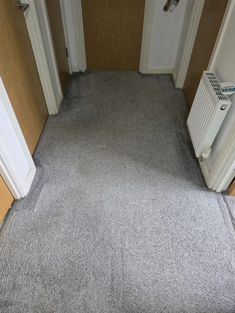 Grey hallway carpet between a door and radiator