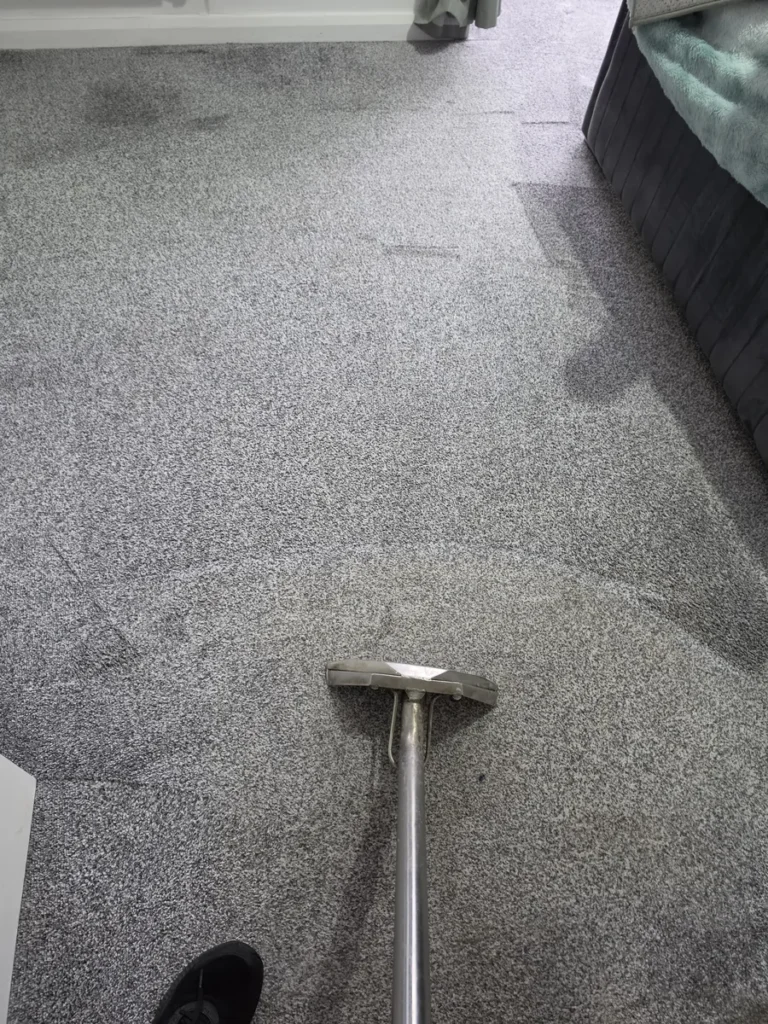 Carpet extraction in progress beside a living room sofa