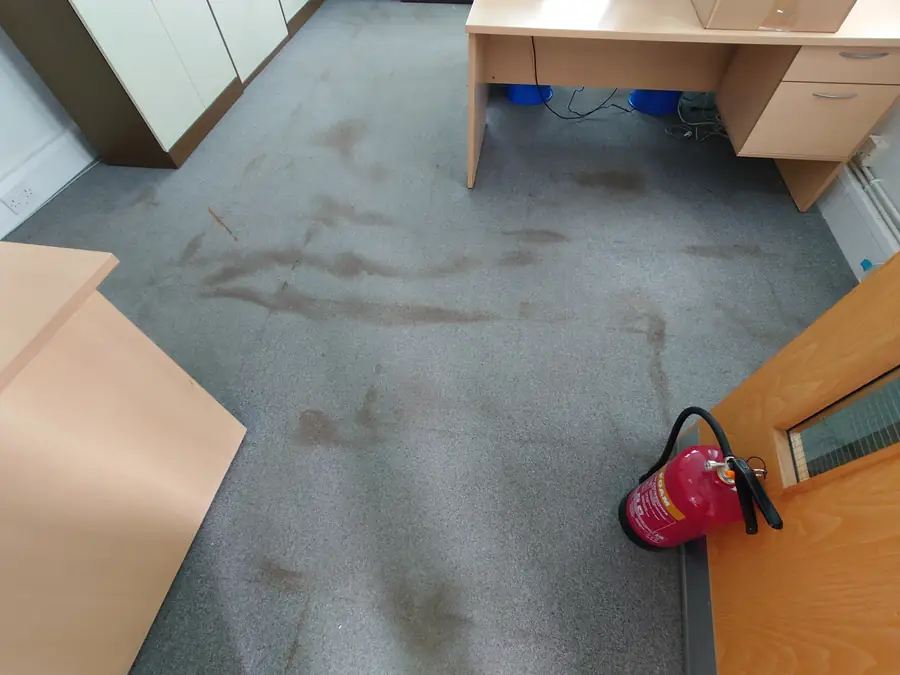 Office carpet with visible soiling around a desk before cleaning