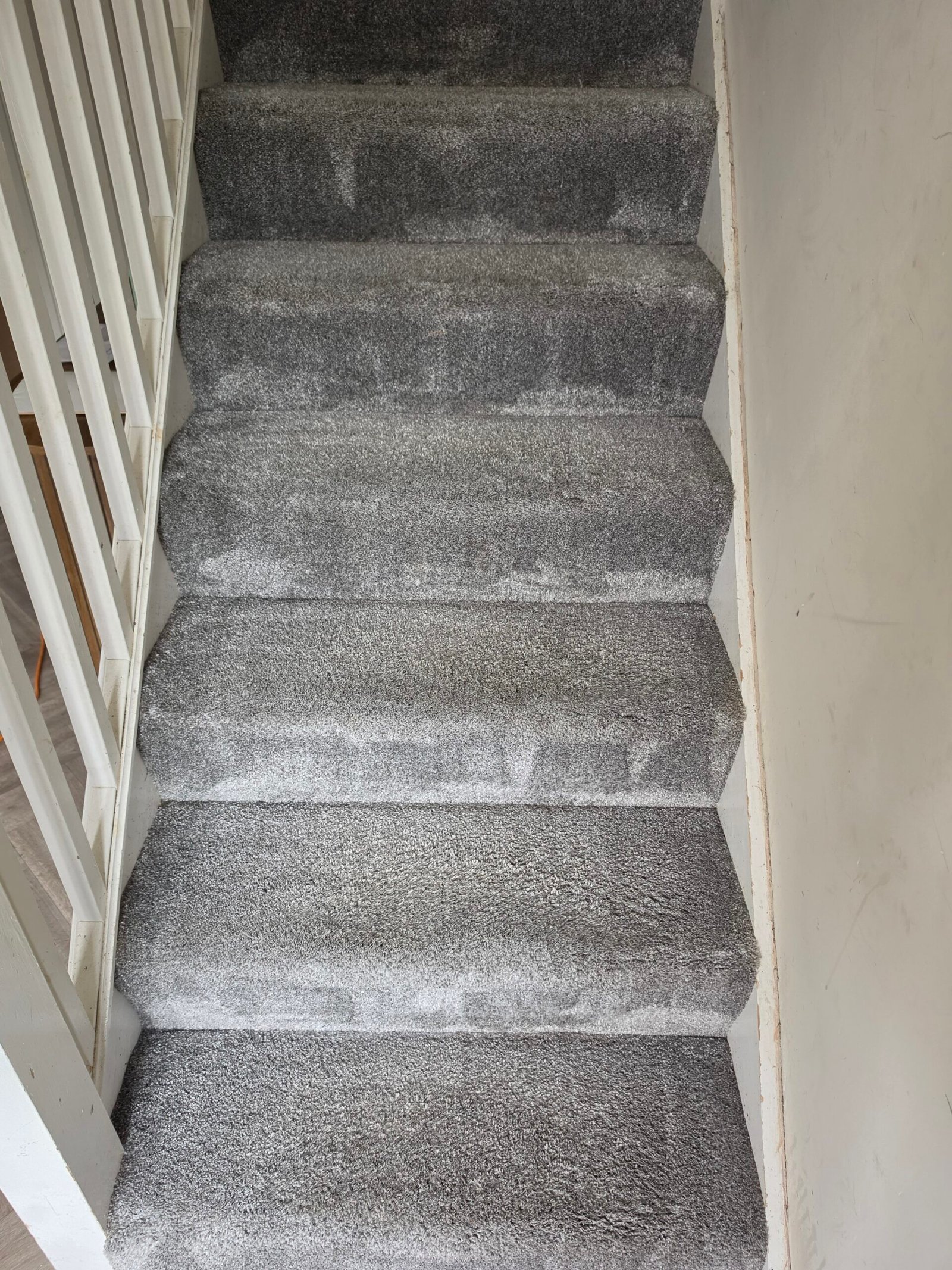 How Often Should You Have Your Carpets Professionally Cleaned? 1 Genuine New Life Carpet stair carpet cleaning photo